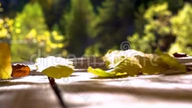 风吹秋叶在木地板上.. 七彩秋叶慢动.. 风吹落落叶.. 秋天。 彩色
